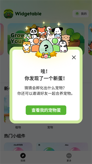 widgetable怎么设置中文-365攻略星