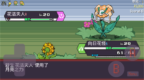 宝可梦肉鸽妖梦新手攻略