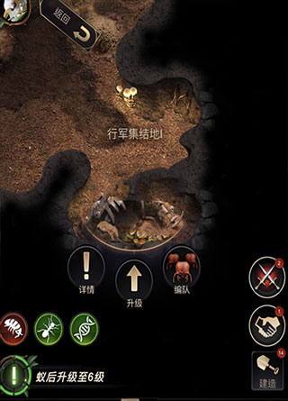 小小蚁国怎么玩?