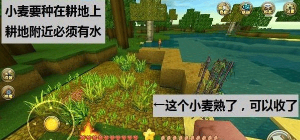迷你世界oppo渠道服新手攻略大全: