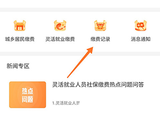 湘税社保app怎么查往年的缴费记录