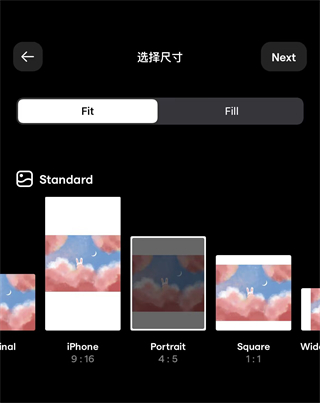 InstaSize使用方法