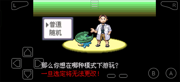 口袋妖怪传说绿宝石新手图文攻略-365攻略星