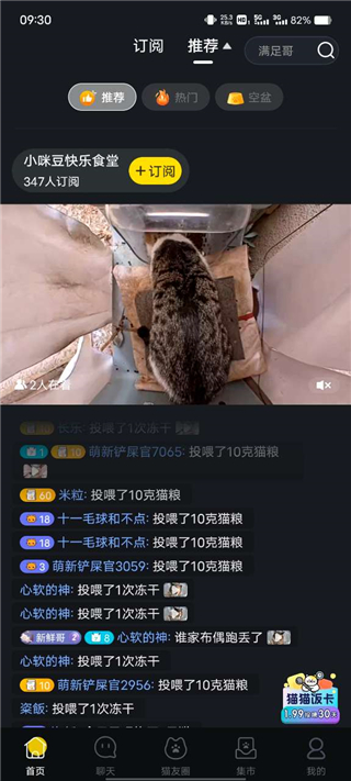 街猫app怎么看附近猫屋