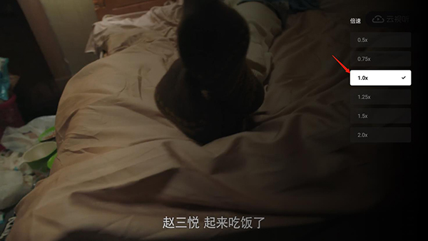 云视听小电视倍数怎么调