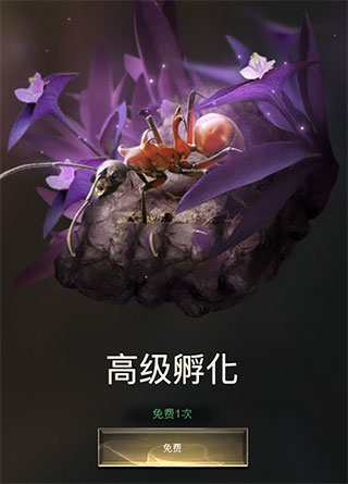 小小蚁国怎么玩?
