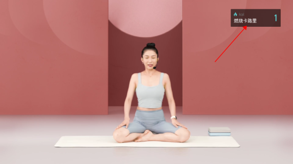LITTA健身课tv版使用教程