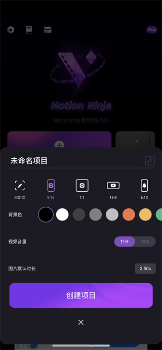 motionninja怎么去水印