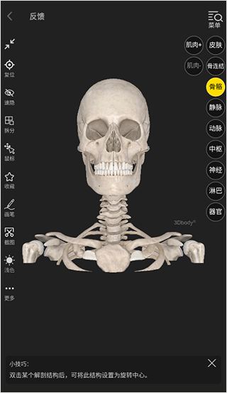3dbody解剖app最新版怎么使用?