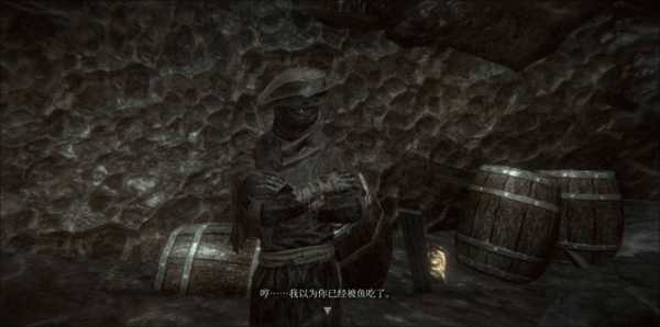 遗忘之潮DLC通关攻略