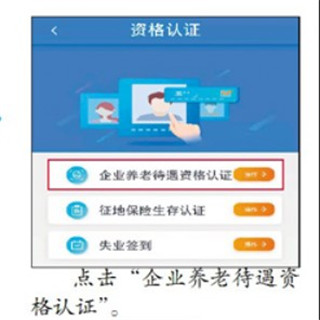 哈尔滨人社app官方版养老认证步骤
