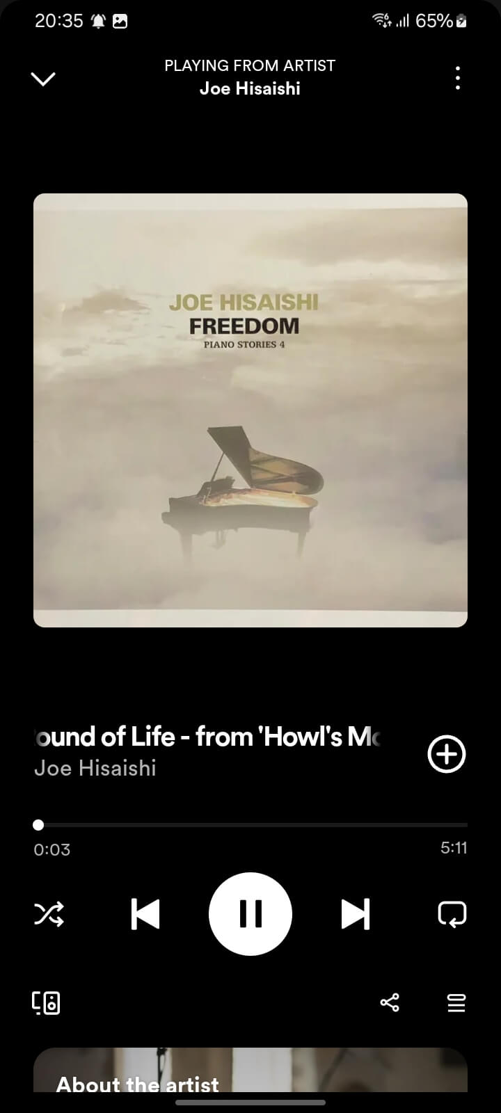 如何解决不显示播放列表而无法在Spotify中听音乐的错误