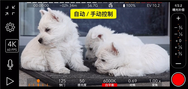 ProMovie苹果版使用介绍：-365攻略星