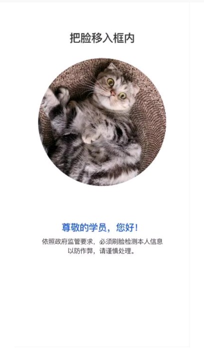 链工宝苹果版新手教程