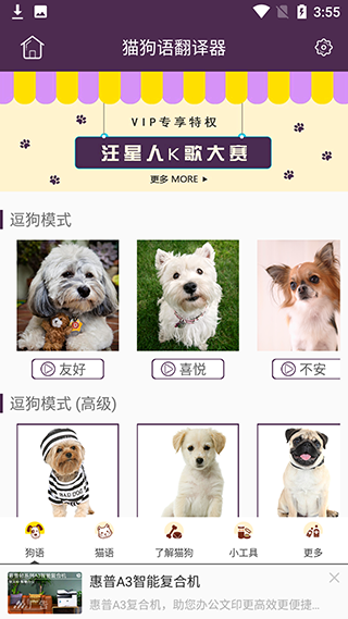 猫狗语翻译器正版使用教程-365攻略星