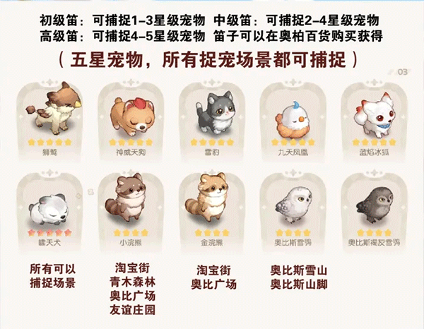 奥比岛梦想国度b服怎么抓宠物