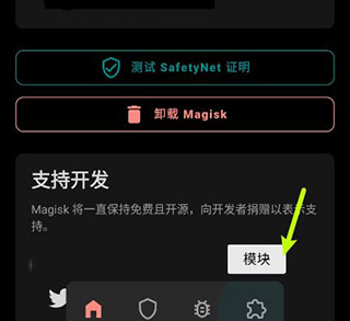 怎样在线安装Magisk面具模块