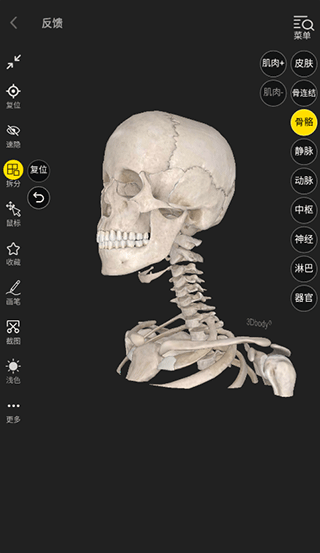 3dbody解剖app最新版怎么使用?