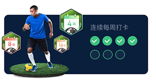 茵战app等级攻略