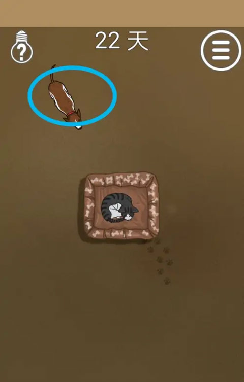 我的猫咪找不到了第22关