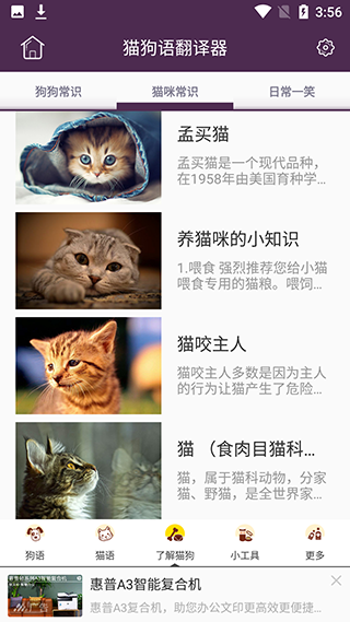 猫狗语翻译器正版使用教程