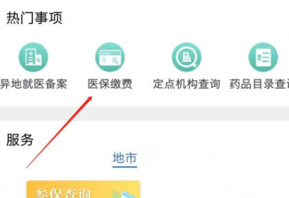 辽宁医保app怎么交医保