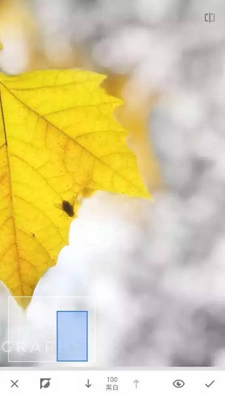 snapseed修图软件蒙版使用教程