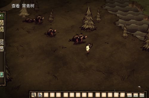 饥荒海滩新手技巧