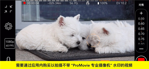 ProMovie苹果版使用介绍: