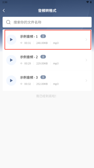 怎么用松鼠录音转文字转格式
