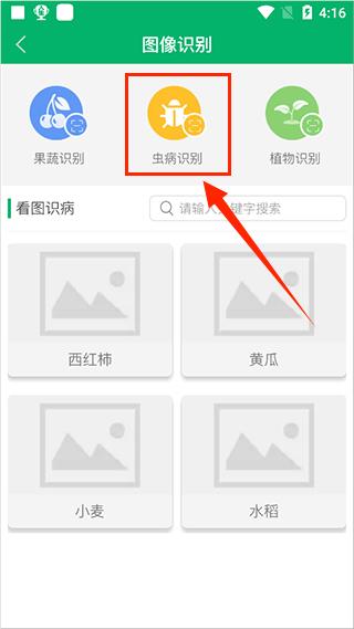 中国农技推广APP如何进行农作物虫病识别？