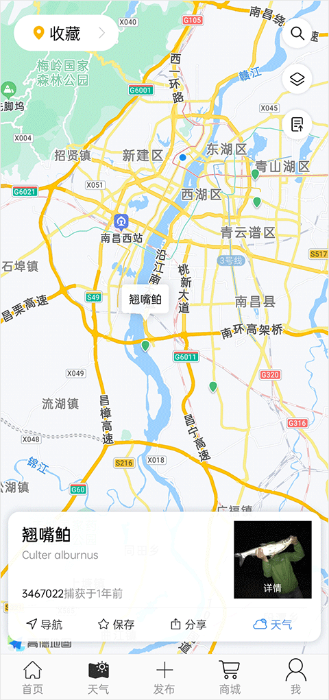 渔获官方版app使用方法