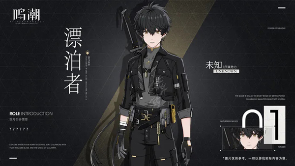 鸣潮国际服角色介绍