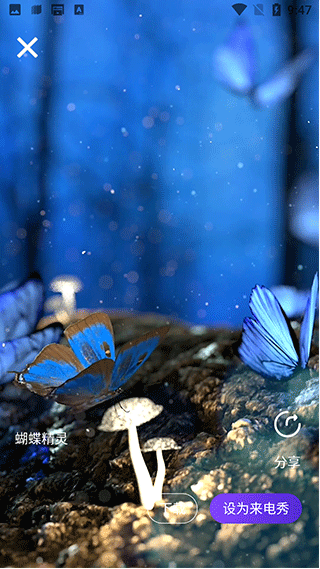 秀来电彩铃app怎么设置视频来电秀?