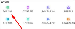 内蒙古人社人脸识别app怎么查询医疗保险余额