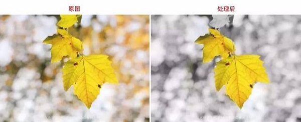 snapseed修图软件蒙版使用教程