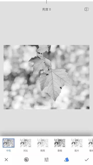 snapseed修图软件蒙版使用教程