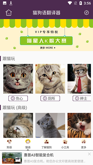 猫狗语翻译器正版使用教程