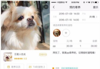 小狗在家app怎么寄养宠物?